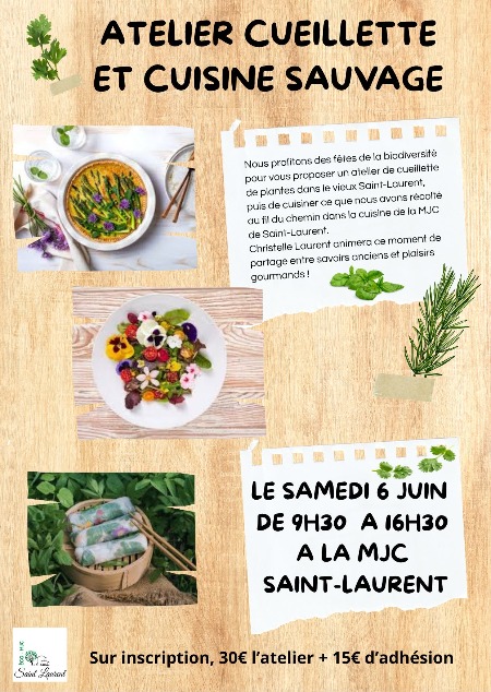 Atelier cueillette et cuisine sauvage