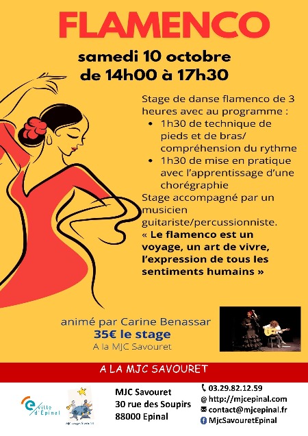 Stage de Flamenco